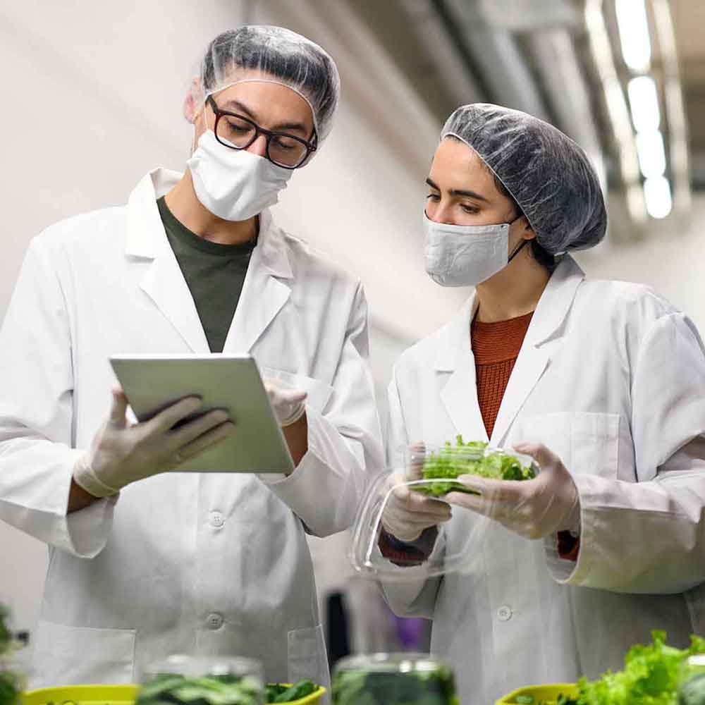 foodgeek-entreprise-agroalimentaire-services-carree Entreprise agrolimentaire - services Foodgeek