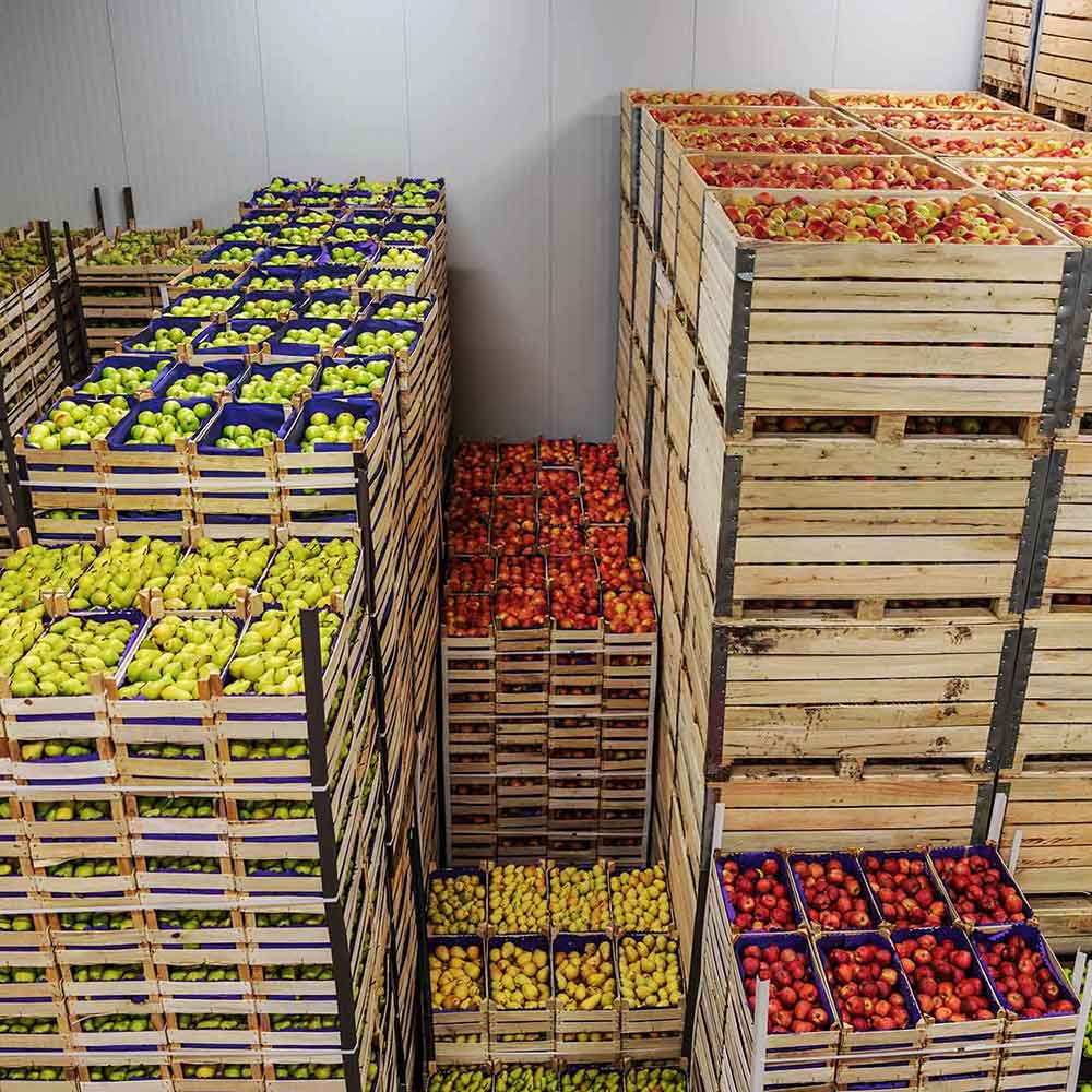 foodgeek-organisme-agroalimentaire-services-carree Organisme de mise en marché des filières agricoles et alimentaires - Services - Foodgeek